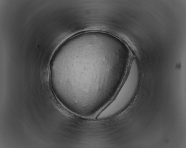 X0000089761276200707121355