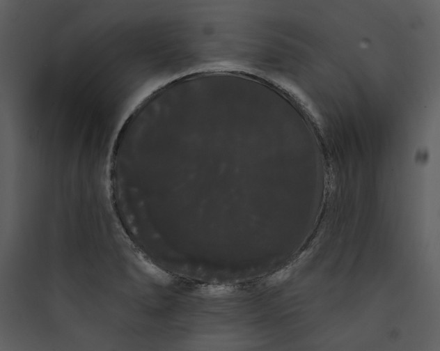 X0000089761278200707121355