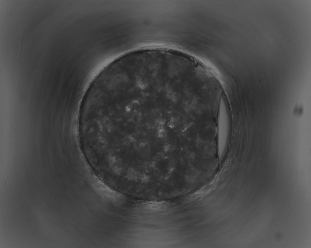 X0000089761279200707121355