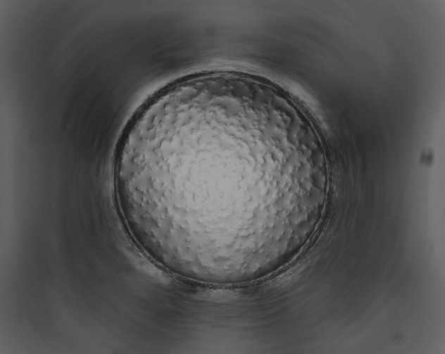 X0000089761280200707121355