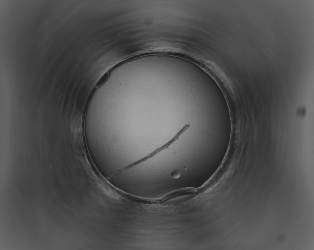 X0000089761281200707121355