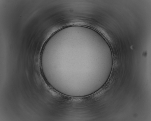 X0000089761282200707121355