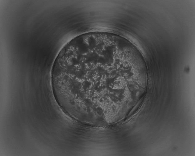 X0000089761283200707121355