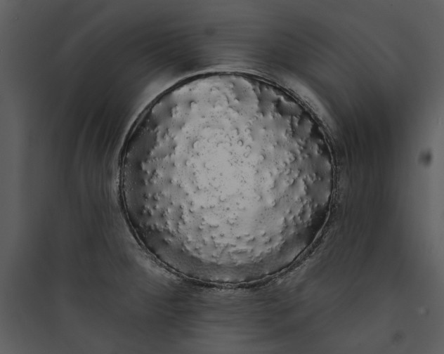 X0000089761284200707121355