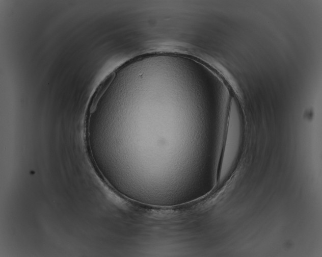 X0000089761285200707121355