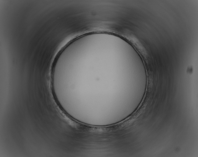 X0000089761286200707121355