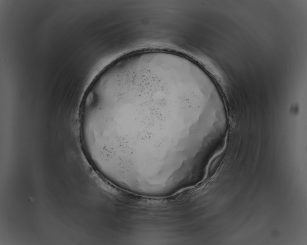 X0000089761287200707121355