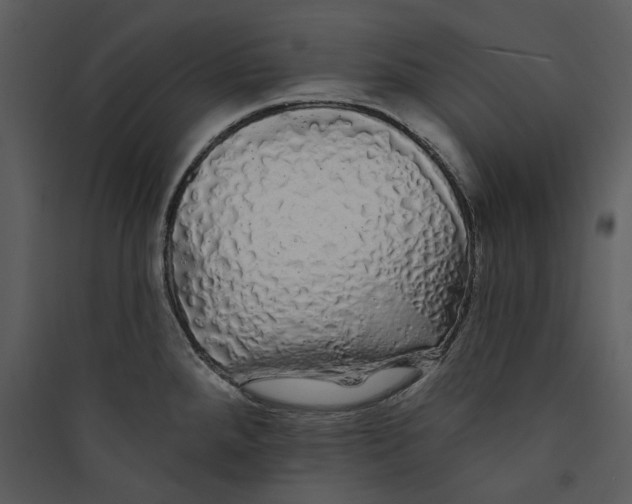 X0000089761288200707121355