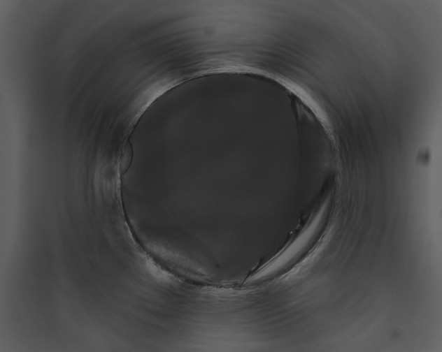 X0000089761289200707121355