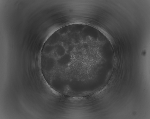 X0000089761290200707121355