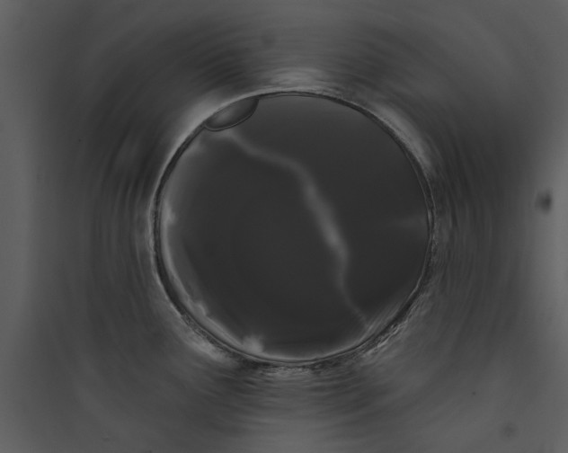 X0000089761291200707121355