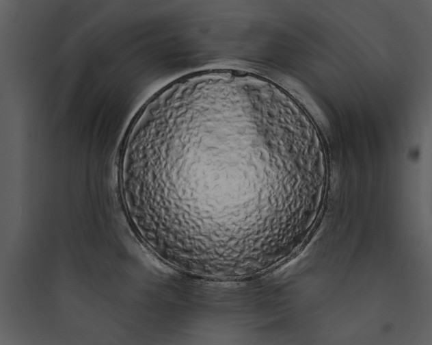 X0000089761292200707121355