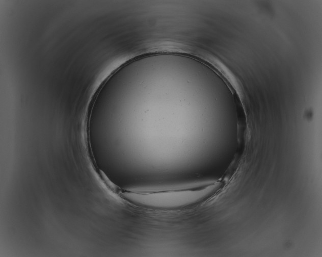 X0000089761293200707121355