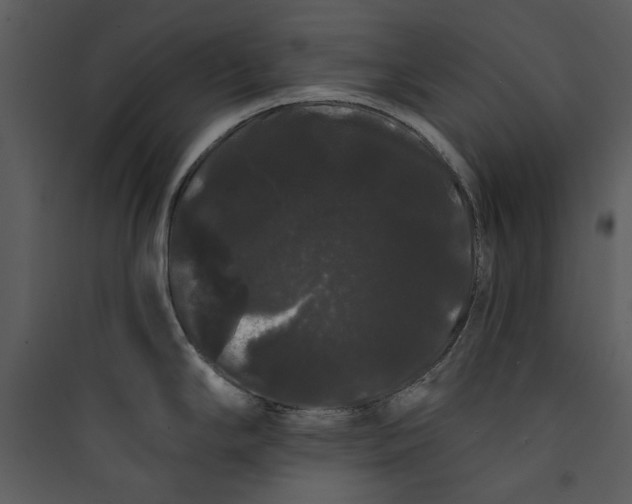 X0000089761294200707121355