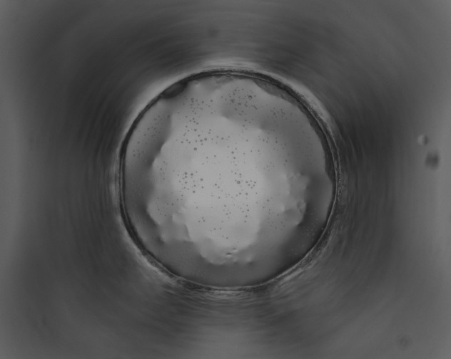 X0000089761295200707121355