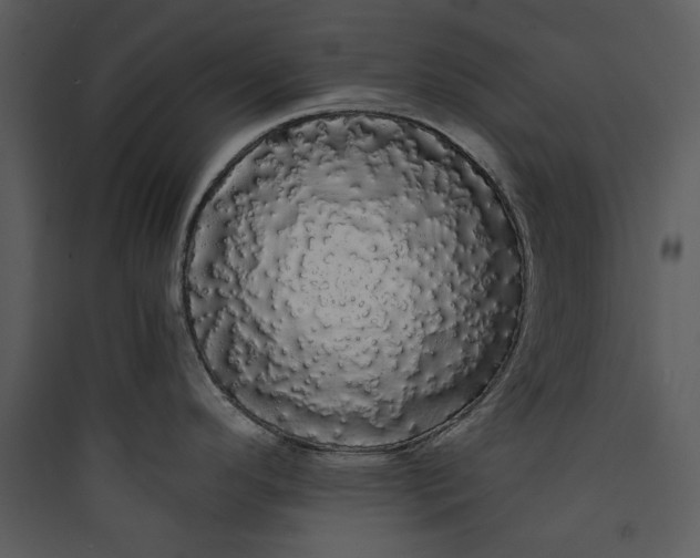 X0000089761296200707121355