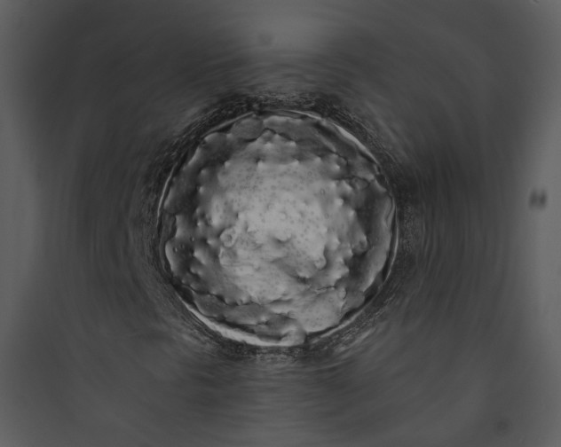 X0000089761297200707121354