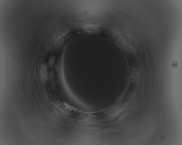 X0000089761298200707121354