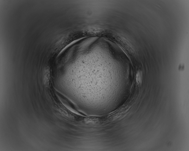 X0000089761299200707121354