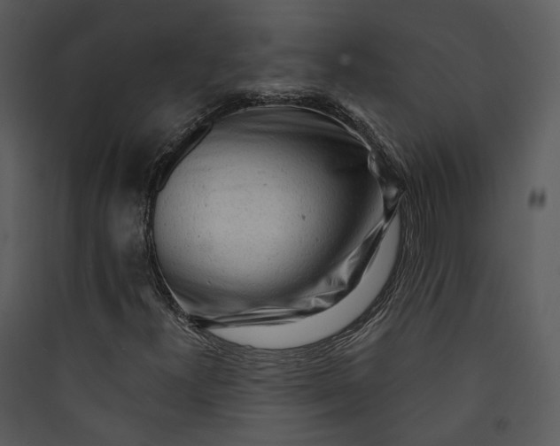 X0000089761300200707121354