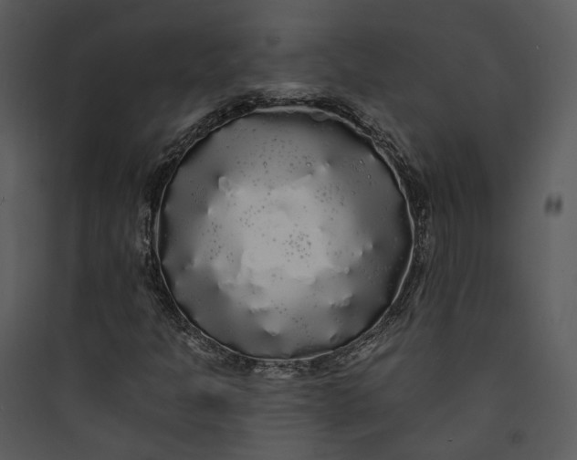 X0000089761301200707121354