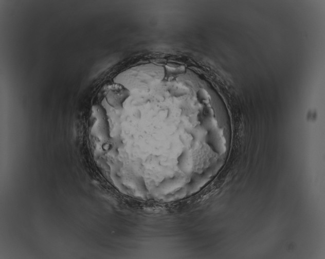 X0000089761302200707121354