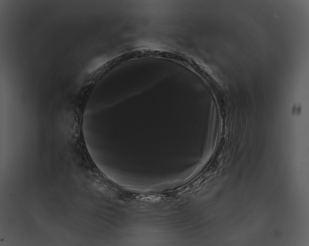 X0000089761303200707121354