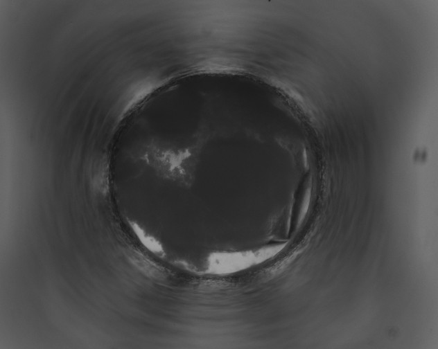 X0000089761306200707121354