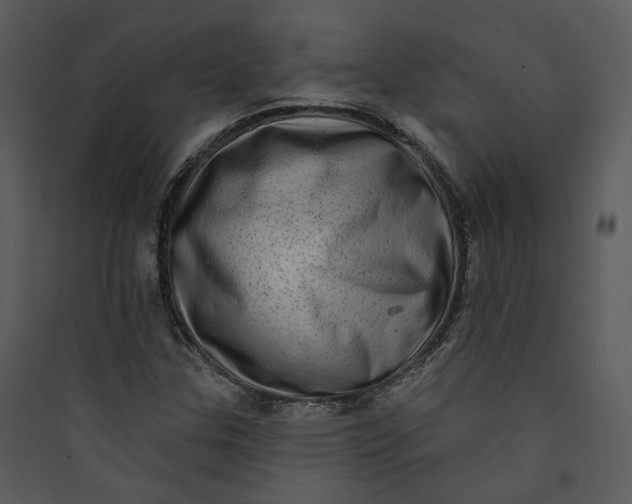 X0000089761307200707121354