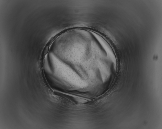 X0000089761308200707121354