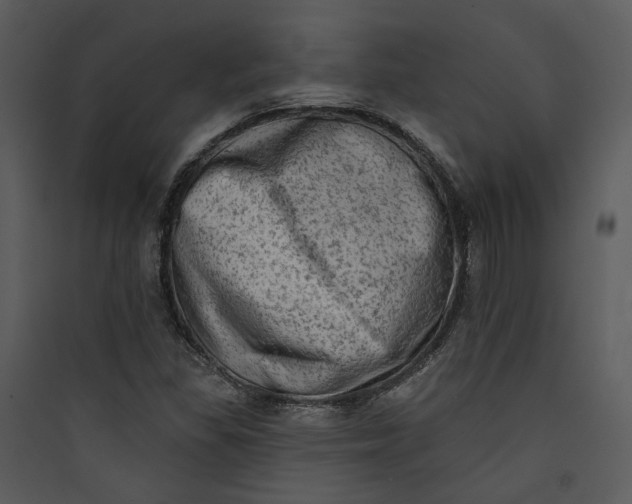 X0000089761309200707121354