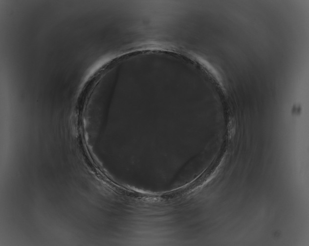 X0000089761310200707121354