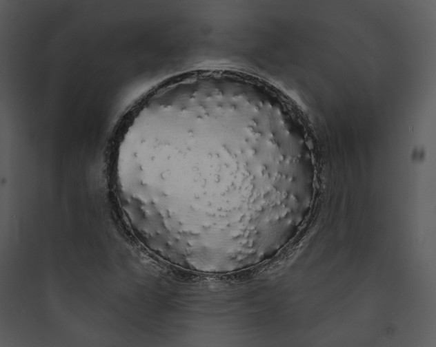 X0000089761311200707121354