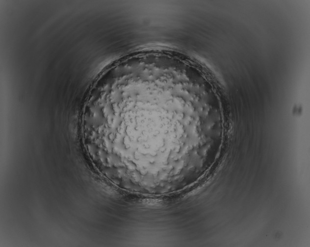 X0000089761313200707121354