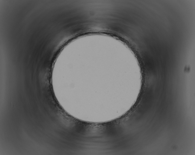 X0000089761314200707121354