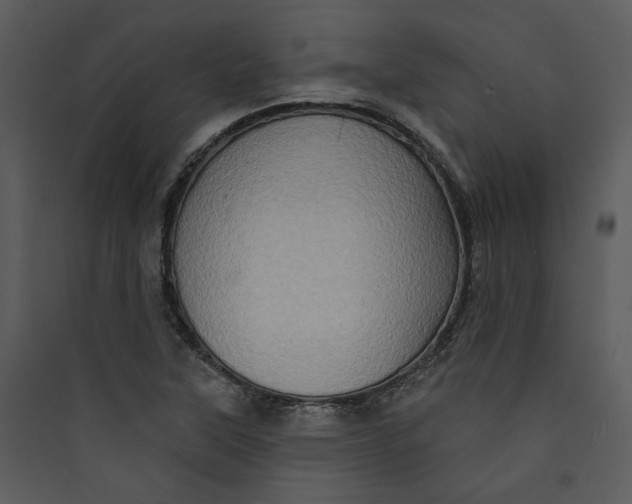 X0000089761315200707121354