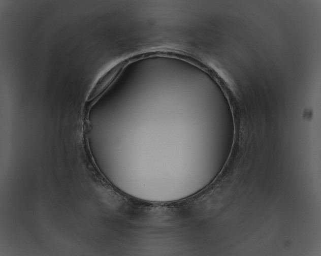 X0000089761316200707121354