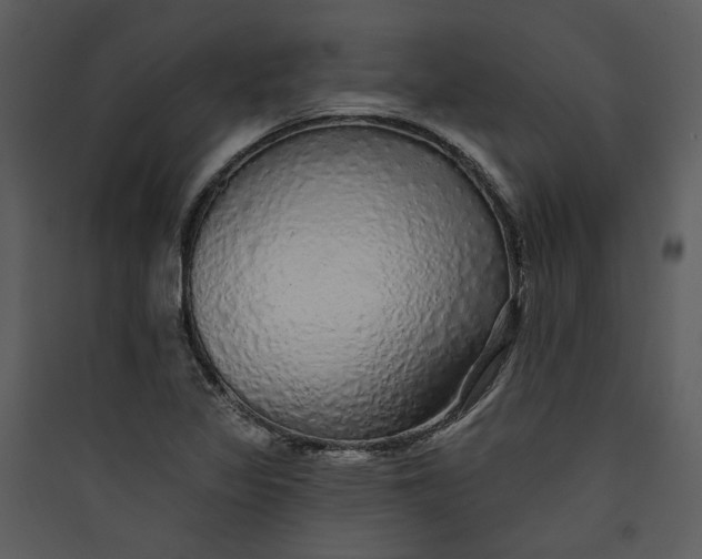 X0000089761317200707121354