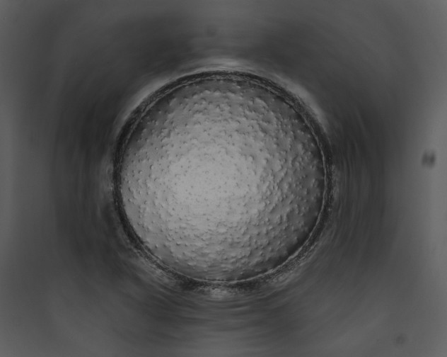 X0000089761318200707121354