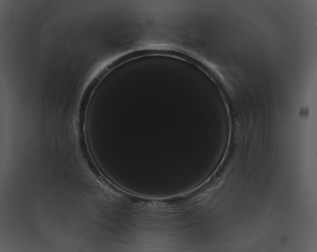 X0000089761319200707121354