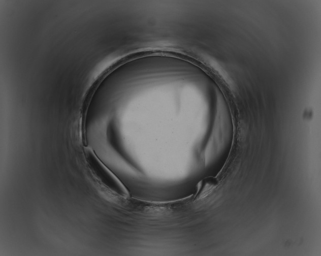 X0000089761320200707121354