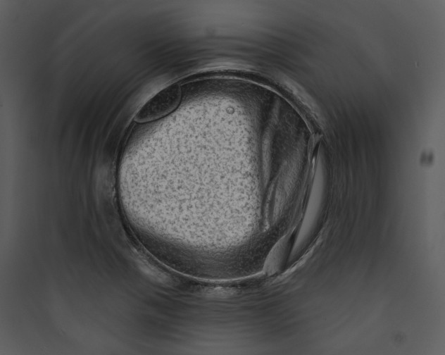 X0000089761321200707121354