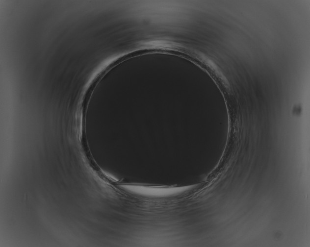 X0000089761323200707121354