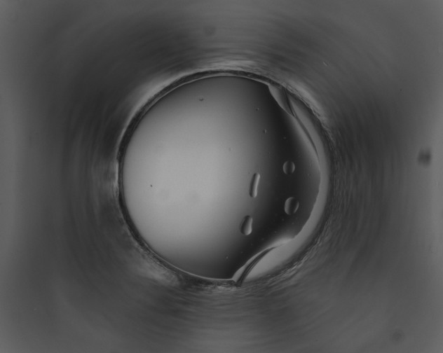 X0000089761324200707121354