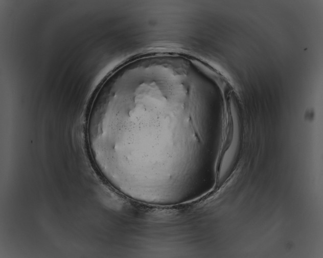 X0000089761325200707121354