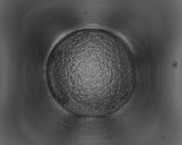 X0000089761326200707121354