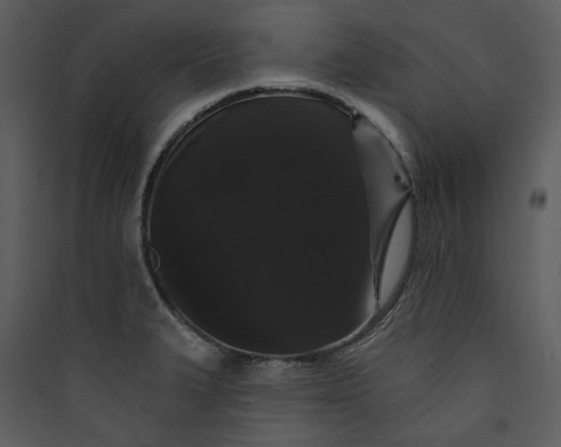 X0000089761327200707121354