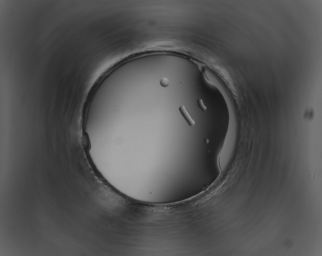 X0000089761328200707121354