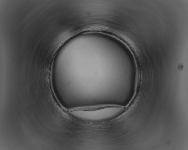 X0000089761329200707121354