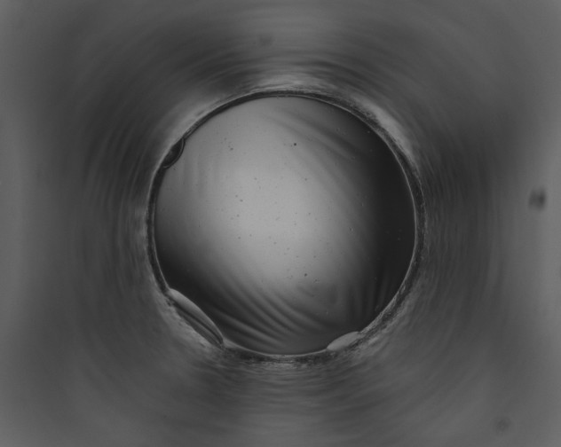 X0000089761330200707121354